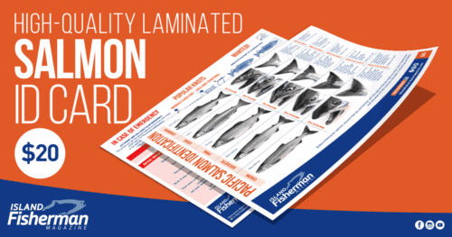 Laminated salmon identification card displaying various salmon species with detailed illustrations and information for identification.
