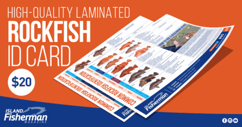 Laminated Rockfish ID card displaying various species with images and information, designed for fishing enthusiasts.