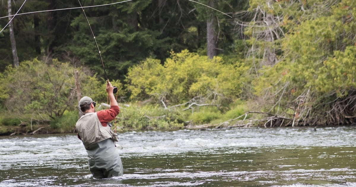 Person casting a fishing line while standing in a river, surrounded by trees and greenery.