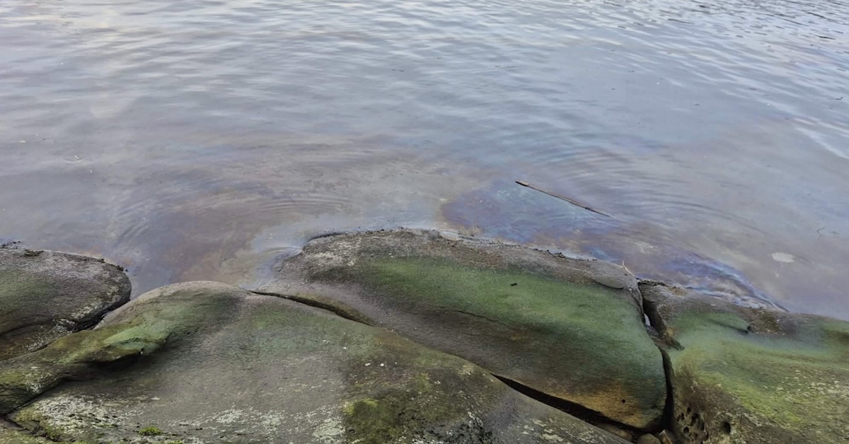 Nanaimo Diesel Spill