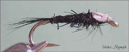 Idaho Nymph - Fly of the Month