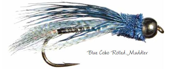 Blue Coho Rolled Muddler