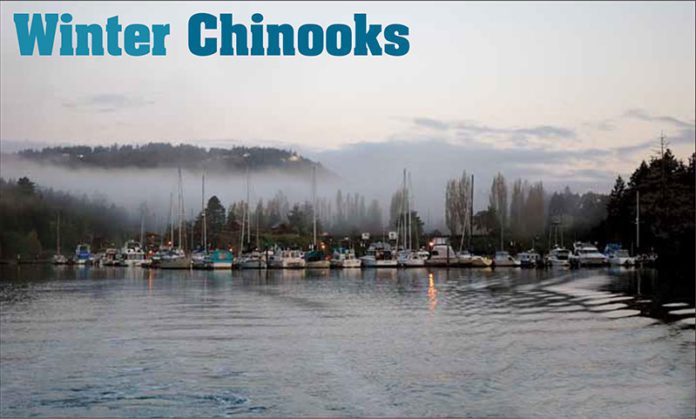 Winter Chinooks