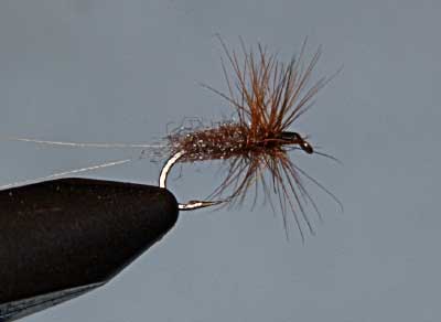 March Brown Dry