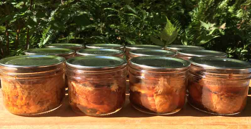 Finished set of canned salmon jars