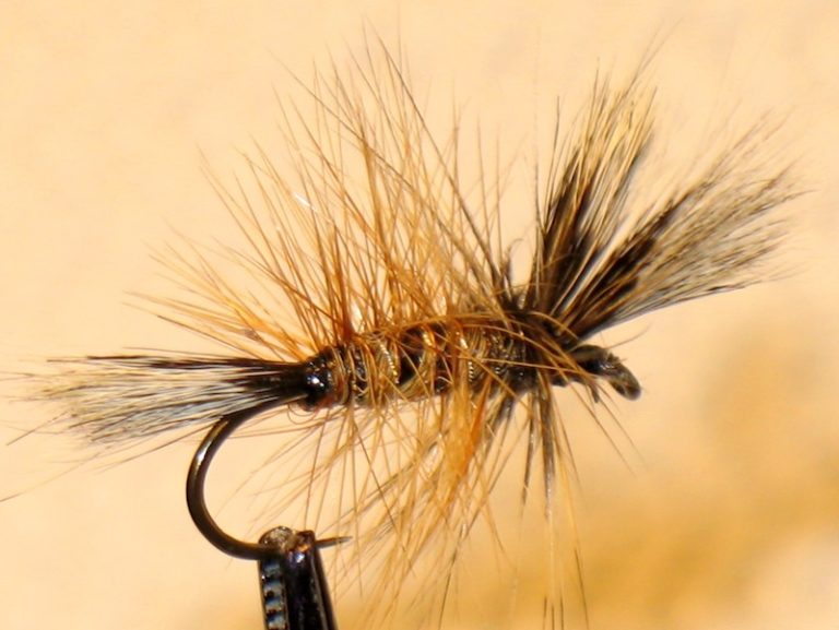 Fly of the Month: The Palmered Brown Bug - Island Fisherman Magazine
