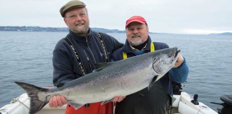 salmon fishing buttons 1980 1981 1982 1983 4 Vancouver Island Chinook Tyee 