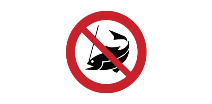 Call to Action – Help Save BC’s Public Fishery