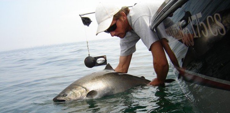 Fish CPR: Catch, Photo, Release - Island Fisherman Magazine