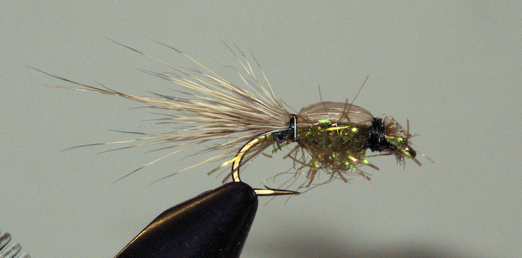 Fly Fishing For Trout In Summer—Beating The Heat - Island Fisherman Magazine