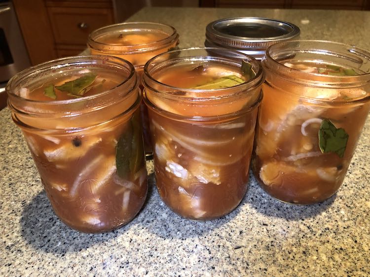 Five jars of pickled salmon with visible spices and herbs in a rich, reddish liquid, arranged on a countertop.