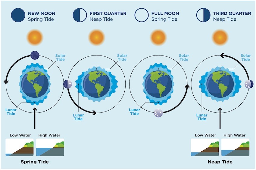 How the Moon Affects Fishing: Solunar Fishing Tables Island Fisherman