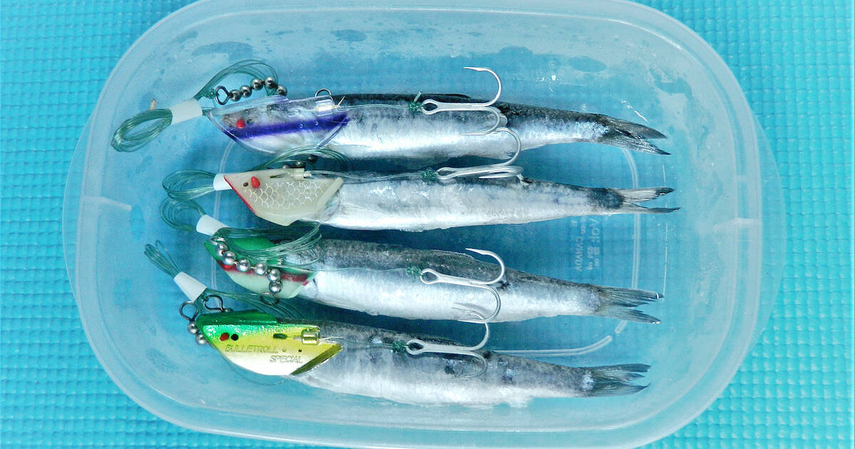 Surefire method for catching salmon requires anchovy, toothpick 