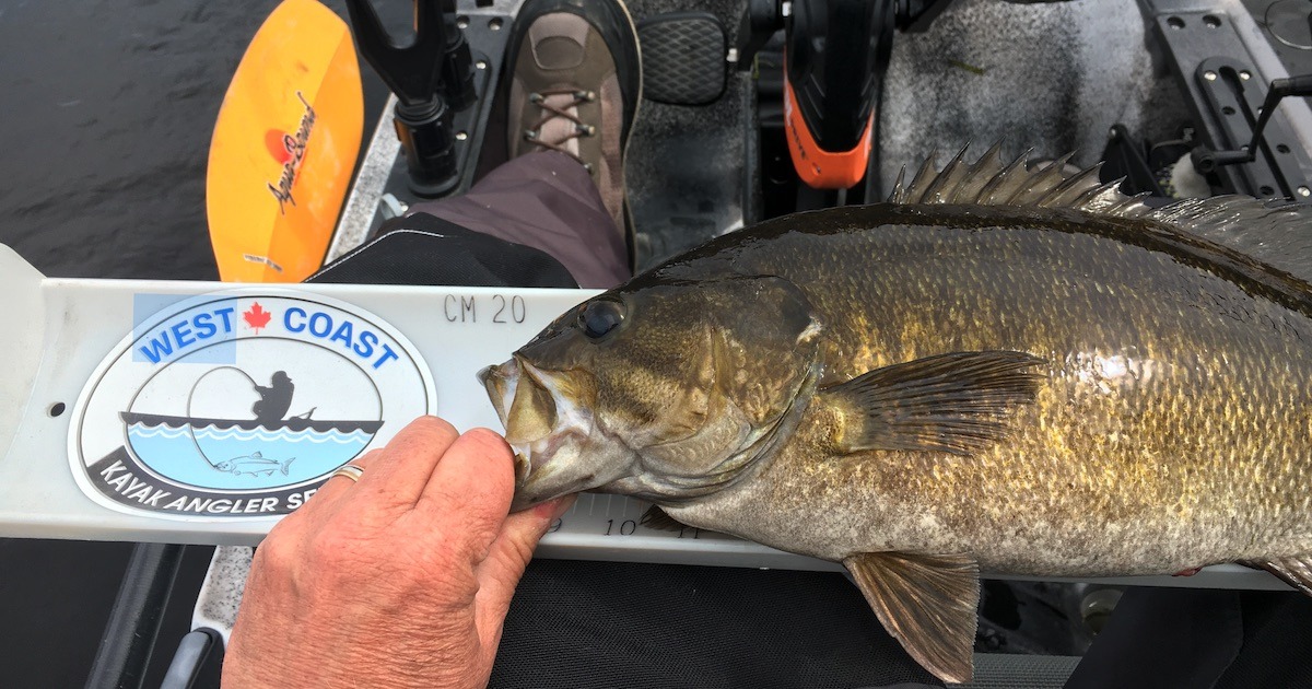 Best Lakes For Bass, April 2023