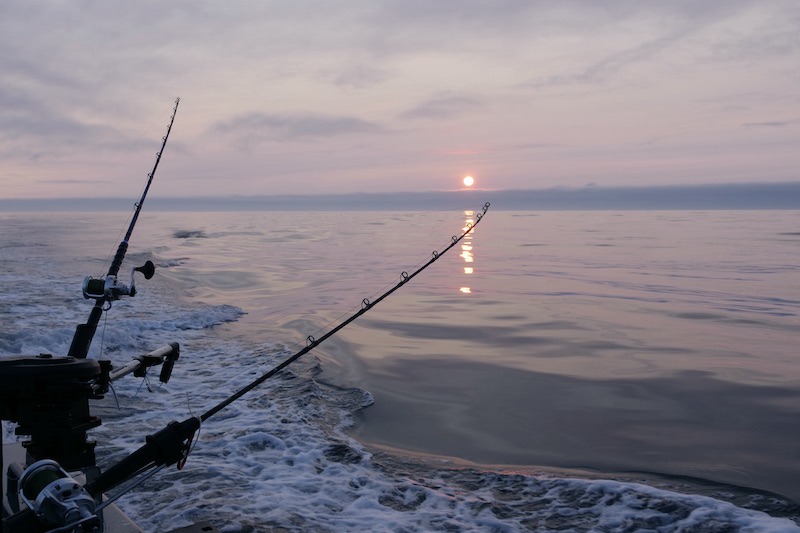 Getting Ready for Albacore Tuna Fishing in BC Waters - Island Fisherman  Magazine