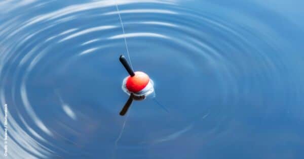 3 Tips For Better Float Fishing - Island Fisherman Magazine
