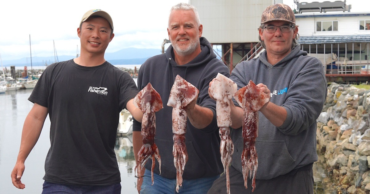 Squid Fishing—Vancouver Island's Emerging Recreational Fishery