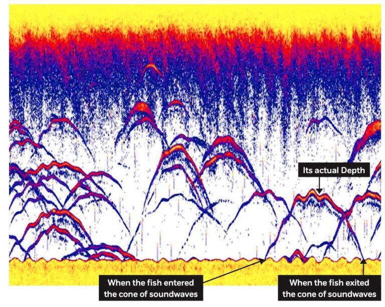 Fish Finder Understanding Understanding Your Fish Finder: Fish ID vs Arches - Island Fisherman ...