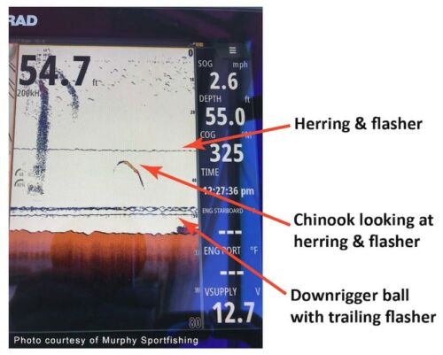 Fish Finder Understanding Understanding Your Fish Finder: Fish ID vs Arches - Island Fisherman ...