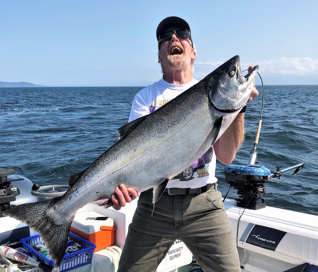 Late Summer Chinook Fishing Tips - Island Fisherman Magazine