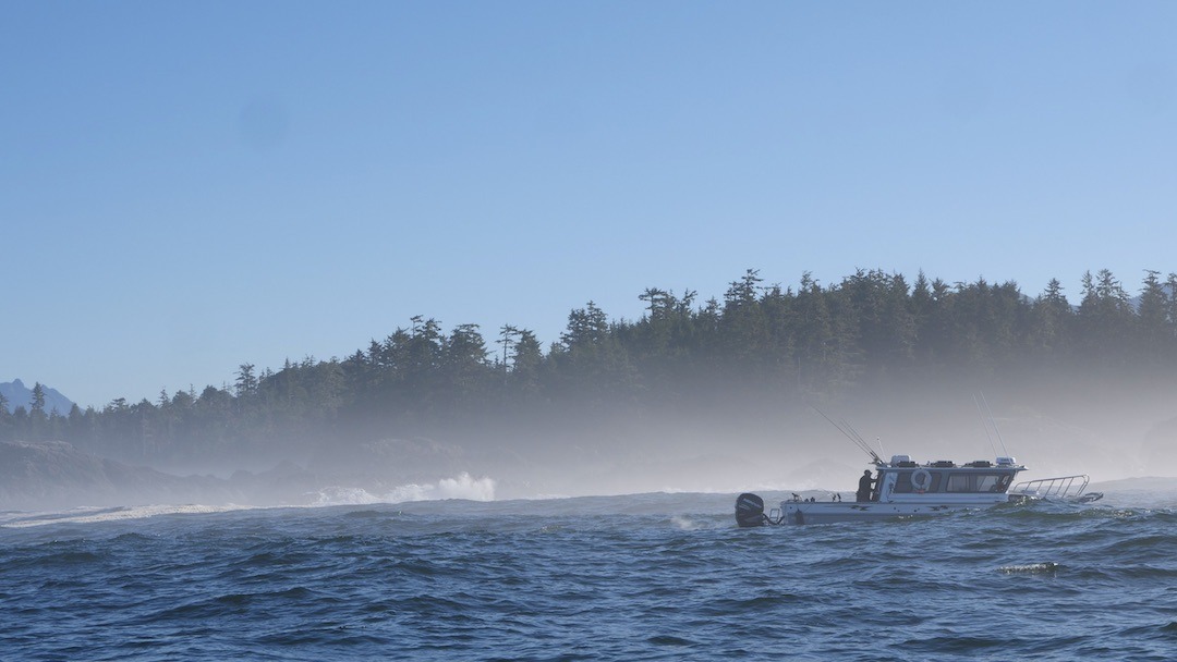 Squid Fishing—Vancouver Island's Emerging Recreational Fishery - Island  Fisherman Magazine