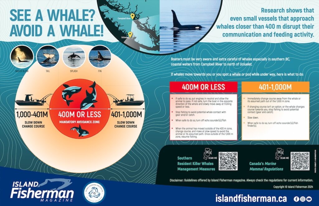 The Southern Resident Killer Whale Survey Closes Feb. 12, 2024 - Island ...