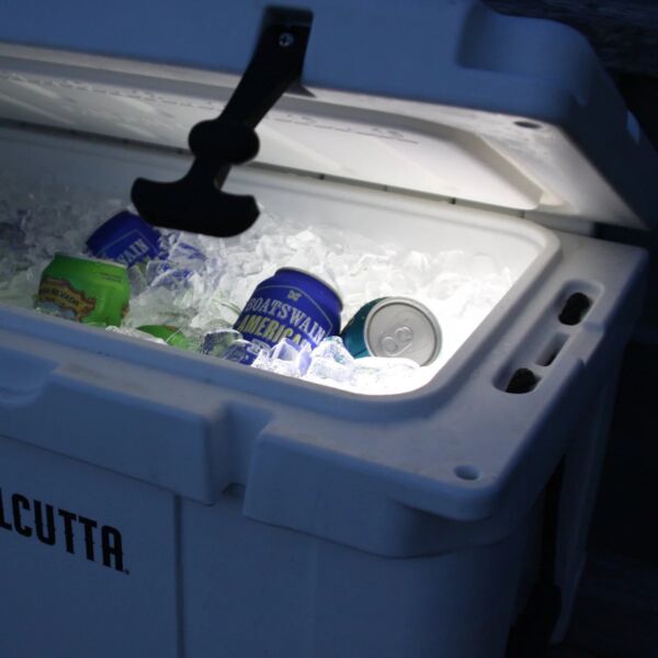 calcutta cooler