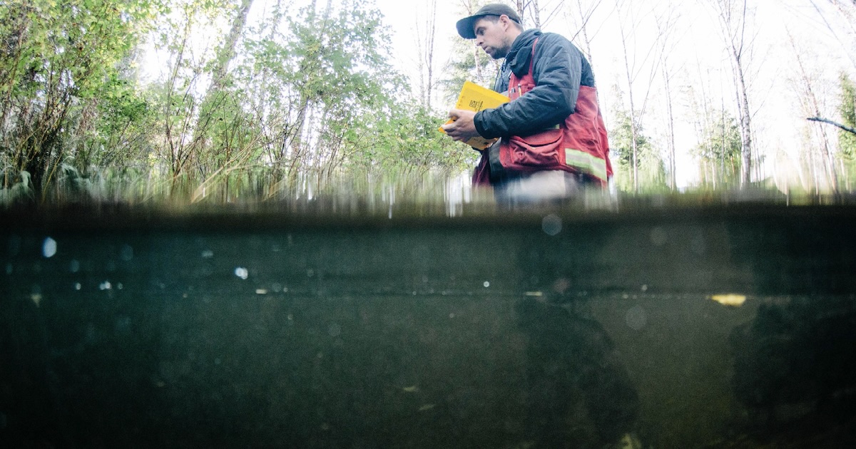 Photo Redd Fish Restoration Society