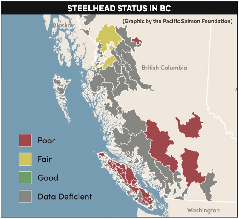 Steelhead status in BC