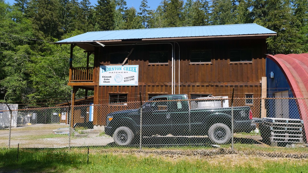 Thornton Creek Hatchery