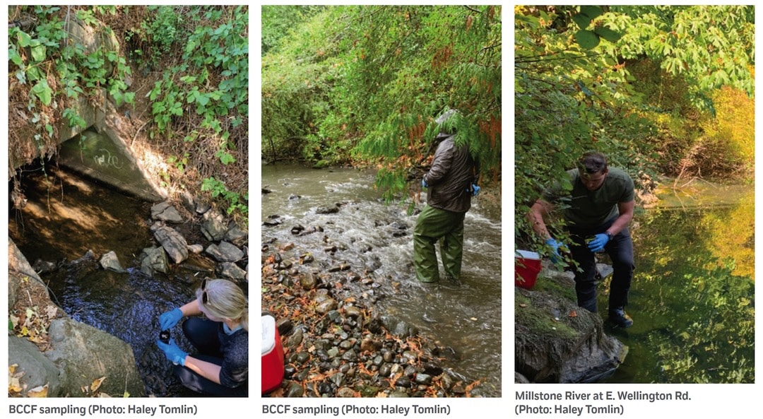 6PPD-Q: The Other Coho Killer 6PPD-Q: The Other Coho Killer