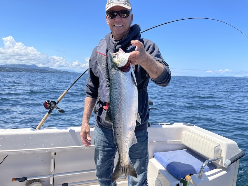 Why So Many Coho? Why So Many Coho?