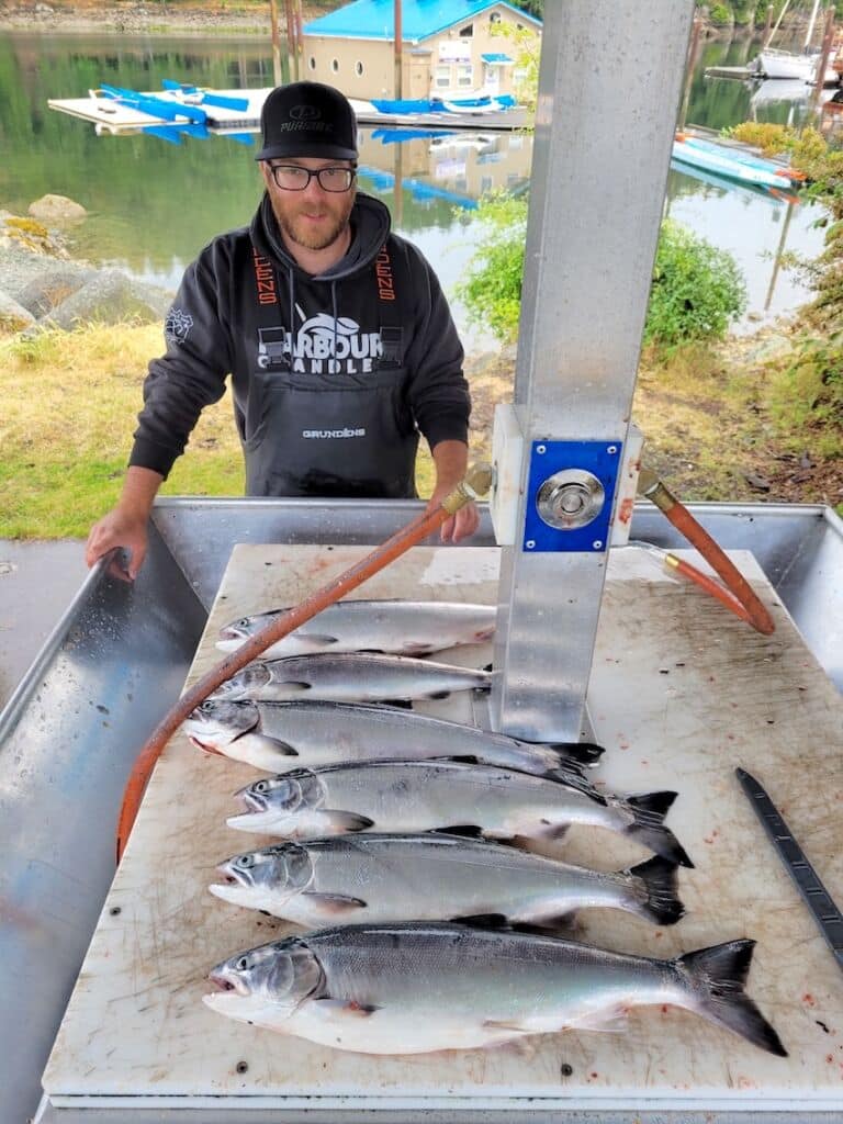 Why So Many Coho? Why So Many Coho?