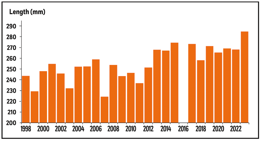 Why So Many Coho? Why So Many Coho?