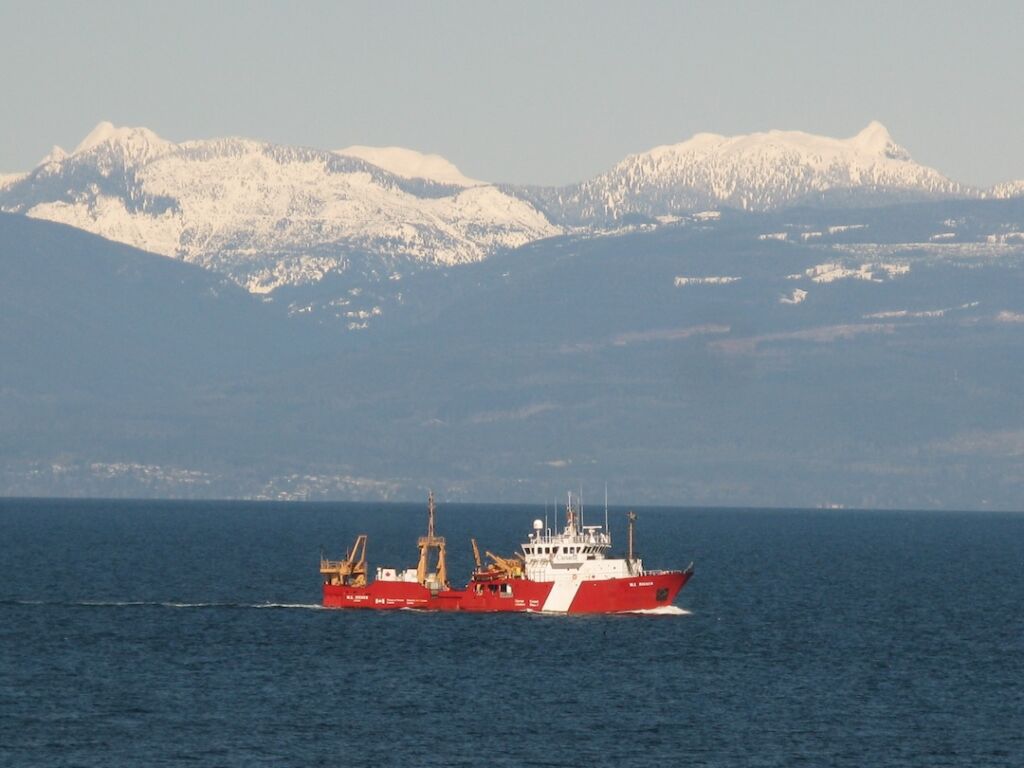 Why So Many Coho? Why So Many Coho?