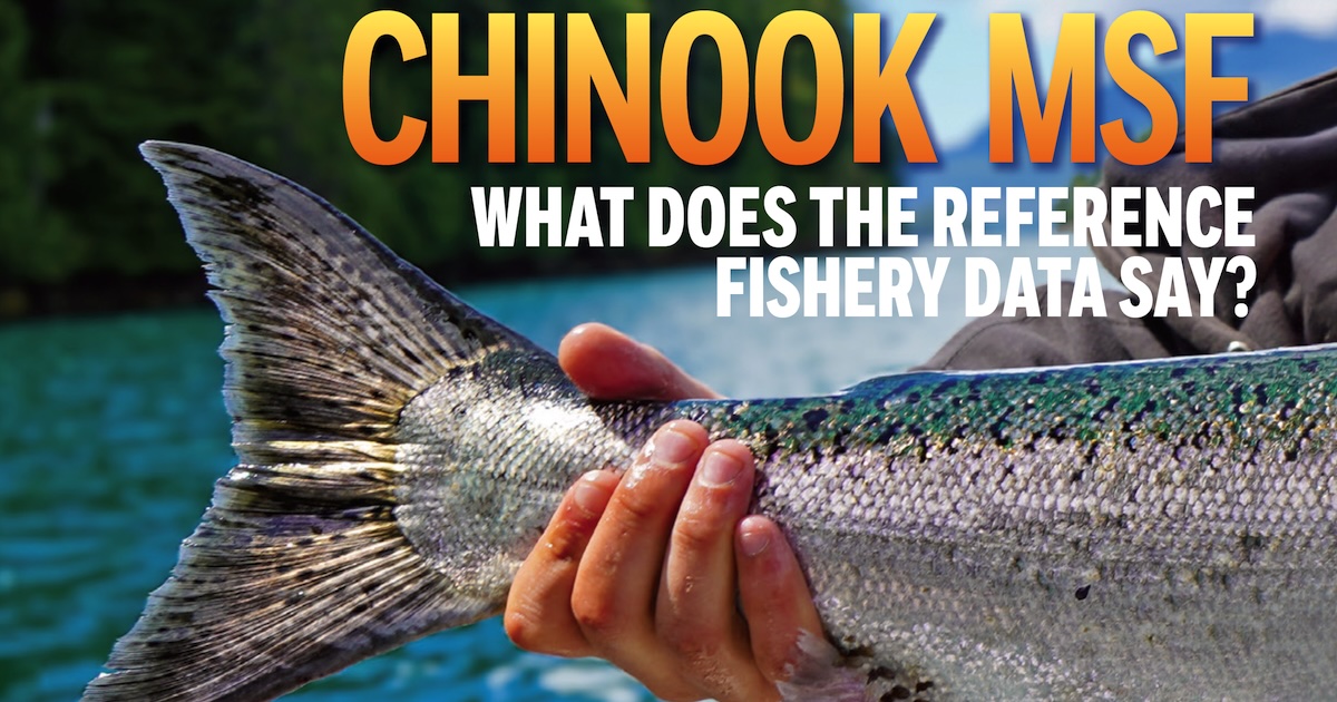 Chinook MSF Mark Select Fishery