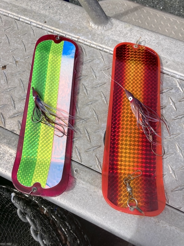 Tide Lines: The Turd Derby