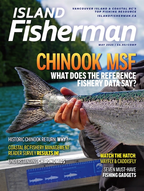 cover of May Issue Island Fisherman magazine 2025 MSF Fishery data