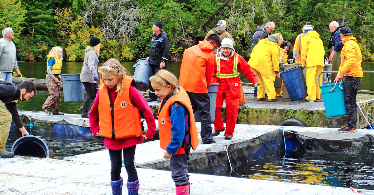 Canada Nature Strategy: Friends of Marble River Society volunteers and youth transferring salmon smolts