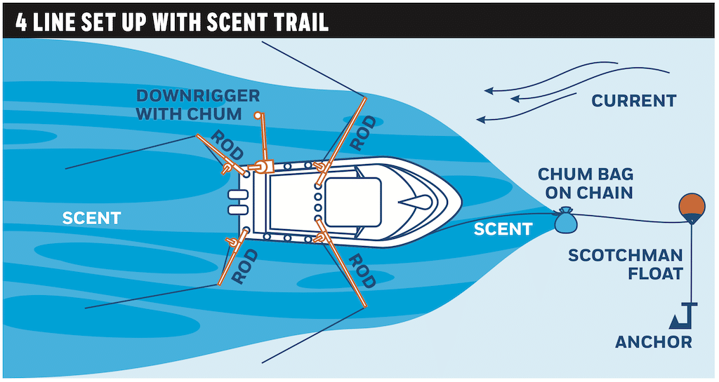 Duck Hunting: The Wild World of Float Fishing for Halibut Top-down schematic diagram of a boat on anchor demonstrating effective halibut fishing techniques using a four-rod spread and a down-current scent trail.