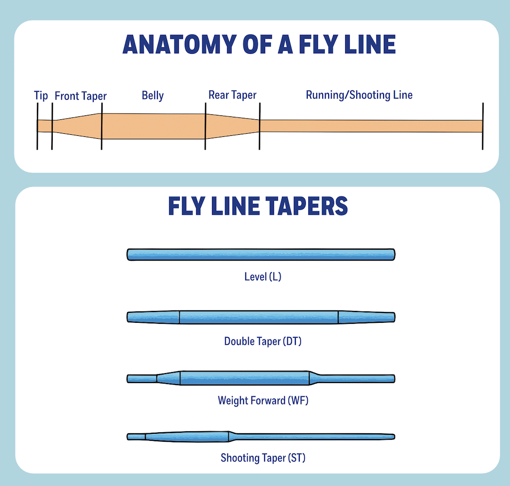 The Complete Guide to Sinking Fly Lines Diagram of the anatomy of a Fly Line with Fly Line Tapers Diagram