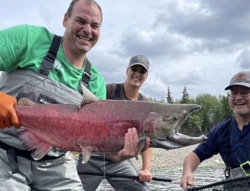 Win $70,000 and Support Salmon in the SCWA Duck Derby