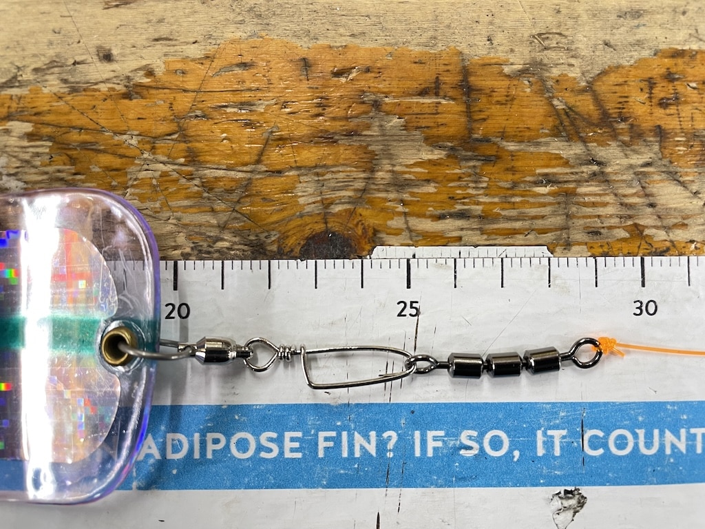 How to Measure Fishing Leaders: The Ultimate Coastal Guide A close-up of a plastic clear ruler measuring terminal tackle, showing that the swivels and quick snaps account for almost three inches of hardware ahead of the line connection.