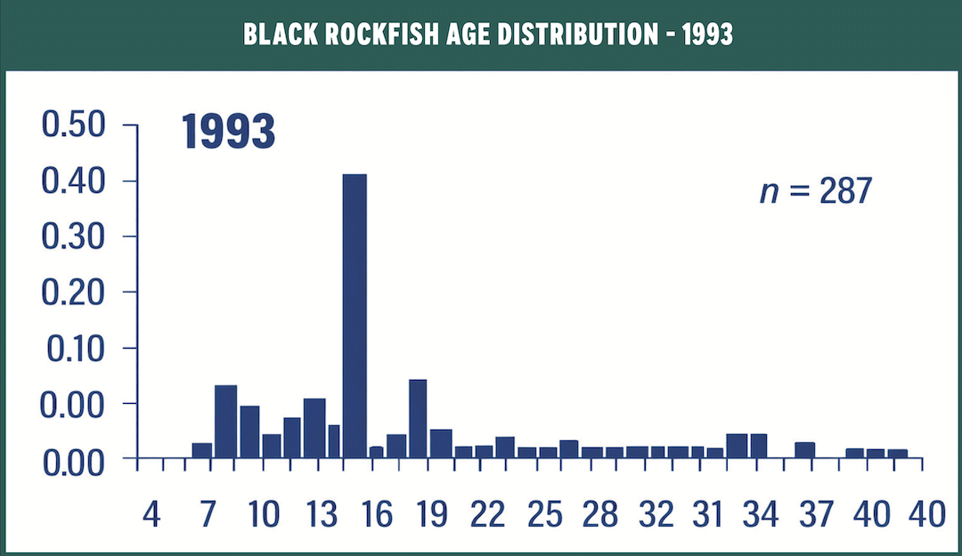 Chart showing 1993 black rockfish age distribution with a massive spike at 15 year old fish.