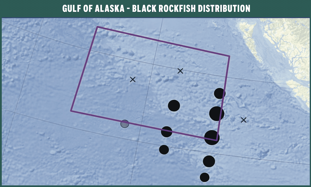 Map showing offshore black rockfish survey locations in the Gulf of Alaska over 1000 km offshore.