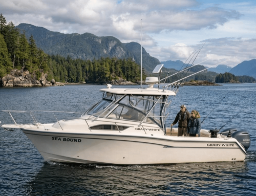 Starlink Mini for Boat and Truck: Island Off-Grid Guide