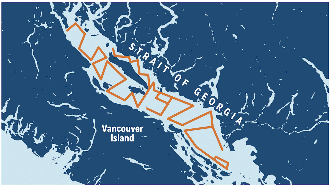 Map showing the survey track line followed in the Strait of Georgia for juvenile Fraser River Chinook salmon research.