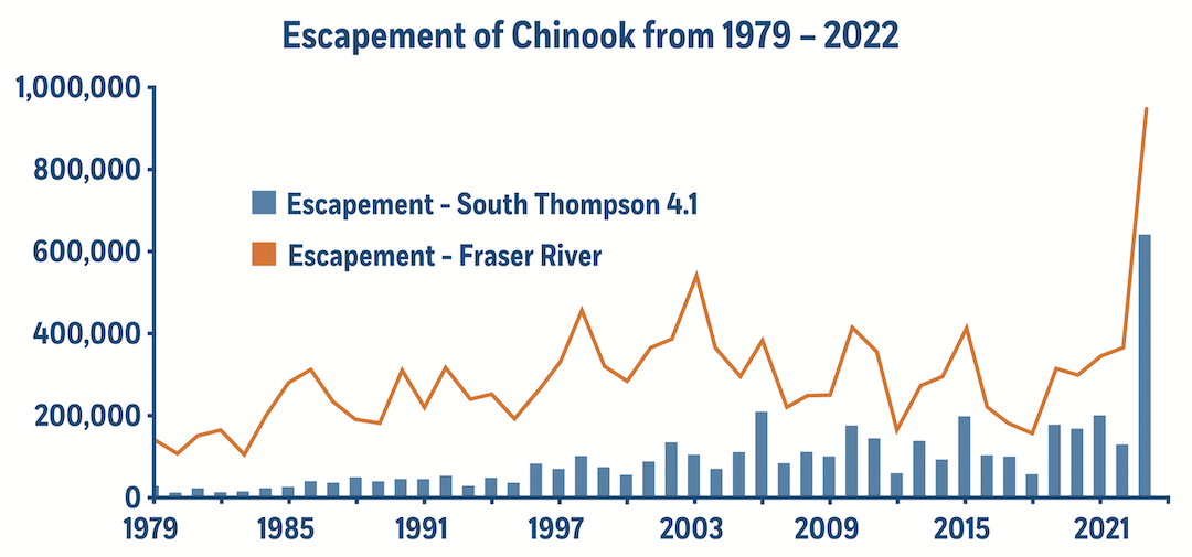 Chart showing historical Fraser River Chinook salmon escapement and South Thompson River returns from 1979 to 2023.