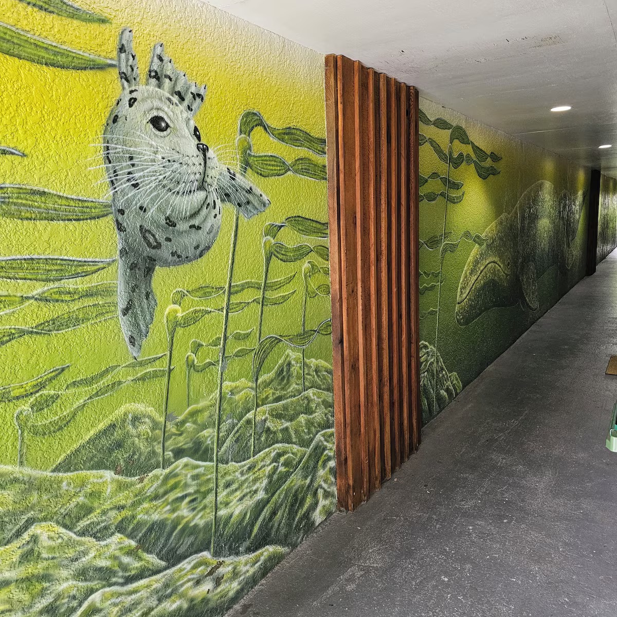 Quiet Comfort: Pacific Rim Motel in Ucluelet Hand-painted marine wildlife mural featuring seals and whales along the Pacific Rim Motel walkway.