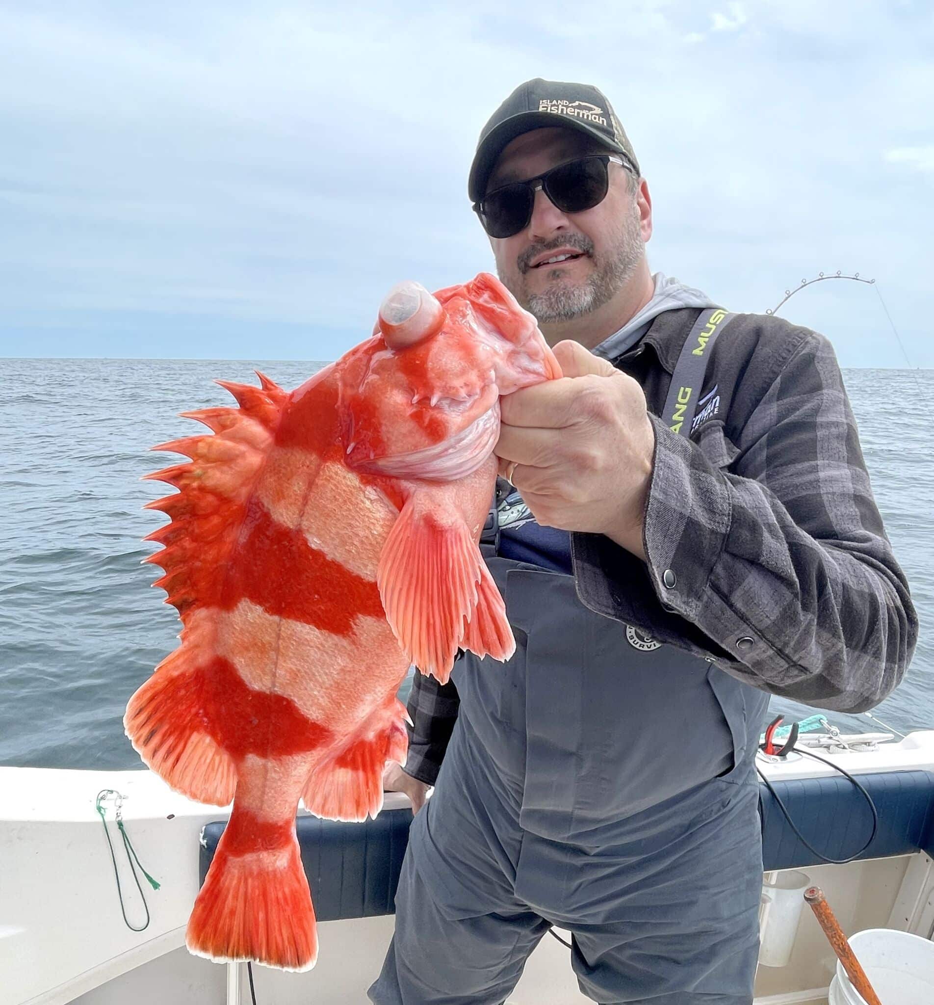 Rockfish Sting Treatment: Myths vs. Hot Water Tiger rockfish showing bulging eye from barotrauma held by angler Joel Unickow